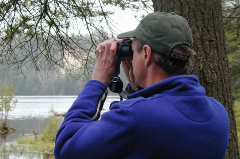 Man looking at birds through binoculars