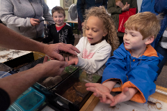 Kids holding a spider at the Wetlands Festival at Wildwood Park