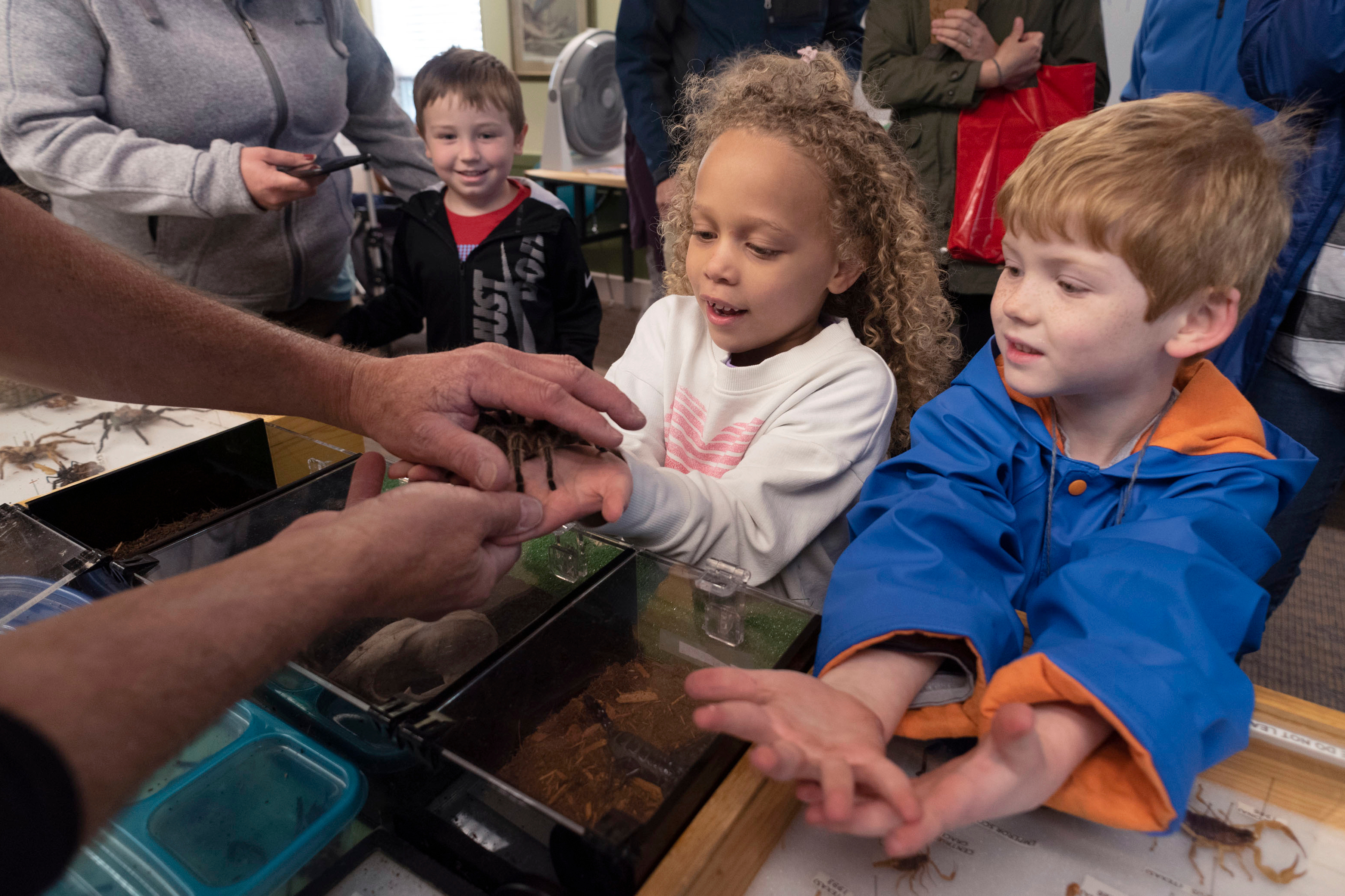 Children holding a large spider