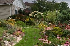 Home Yard with lots of different flowers and trees in bloom